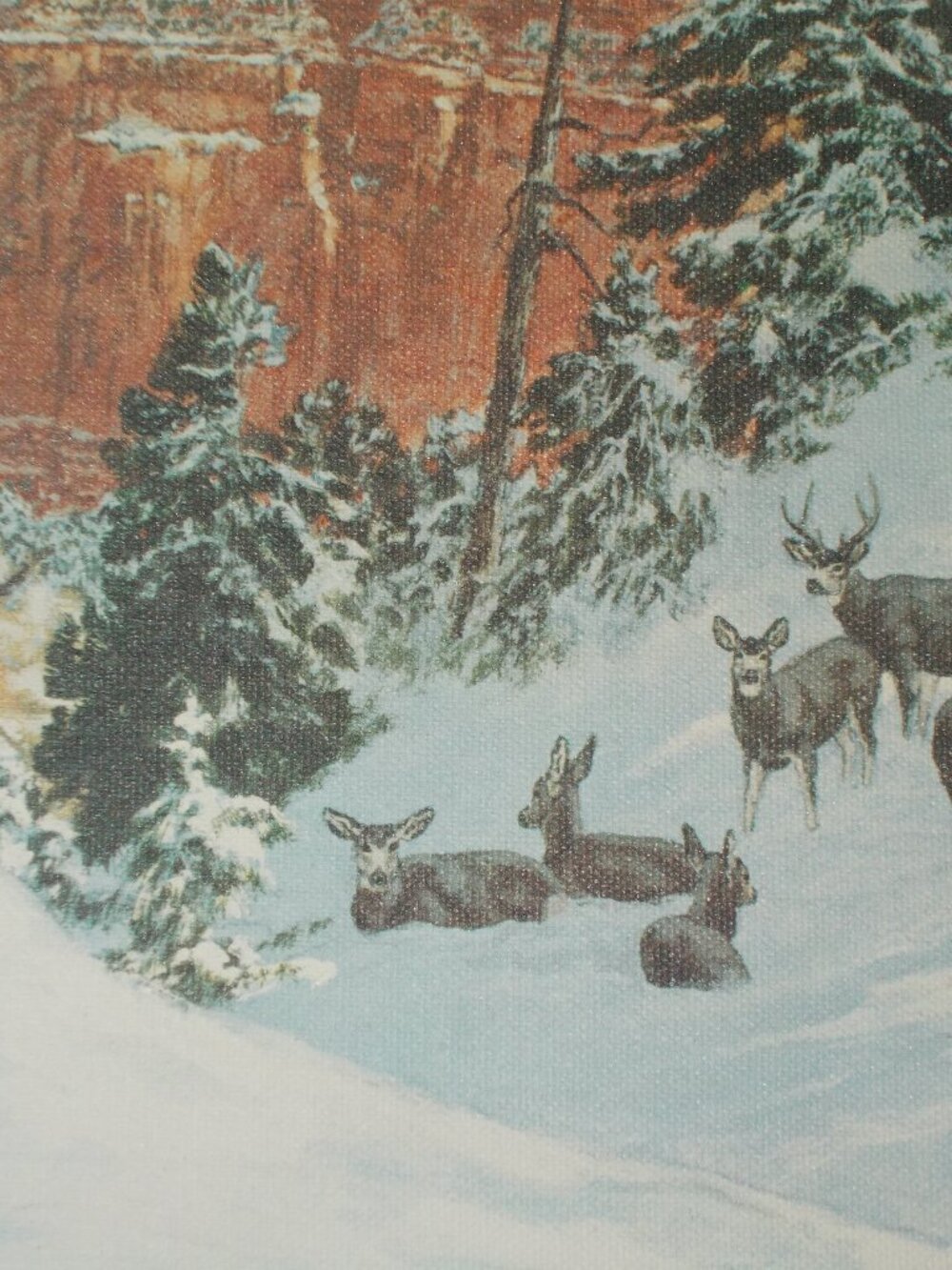 Vintage wildlife deer lithograph on canvas framed, by Beecham - Picture 5 of 8
